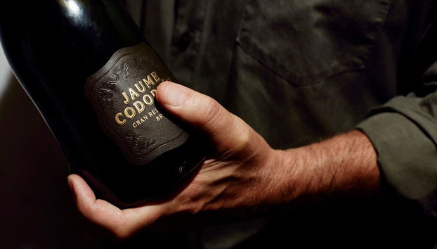 Bodegas Codorníu - Guided Tours - Photo 5