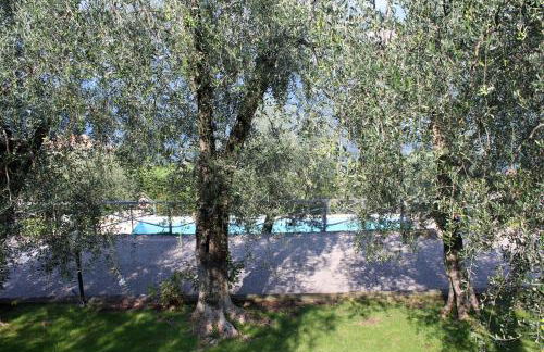 Appartamento Venzo - Foto 6