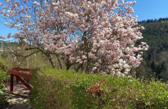 Holiday Home Emma by Interhome - Foto 29