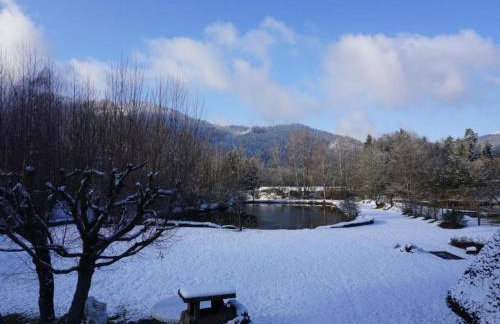 Holiday Home Vagney near Ski Gérardmer - Photo 3