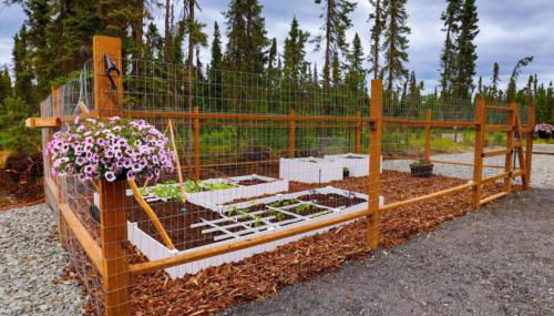 Lake Trout, Cabin 2 at Lower Kenai Lodge - Photo 5, Garden