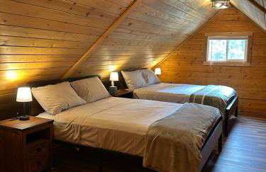 Amphitheater Mountain Cabin - Foto 26