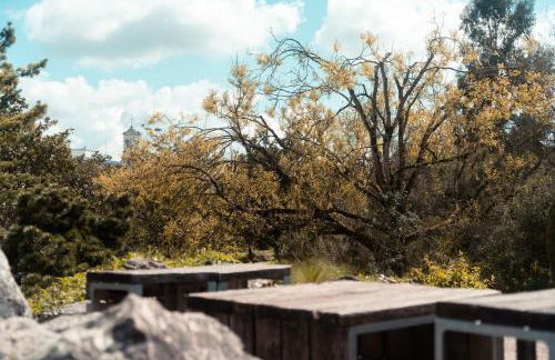 Le Seigneur des anneaux - Foto 5