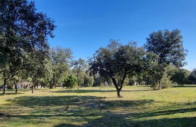 Maisonnette Sous les chênes GARD 30 - Foto 13