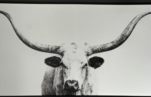 1 Bed1 Bath Condo wKitchenLR-Sleeps up to 4PP - Foto 25