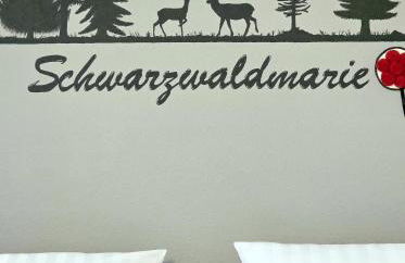 Schwarzwaldmarie in Titisee mit Badewanne Sonnenbalkon TG-Stellplatz Küche - Foto 19