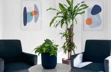 CoVivere - RJ - Foto 35