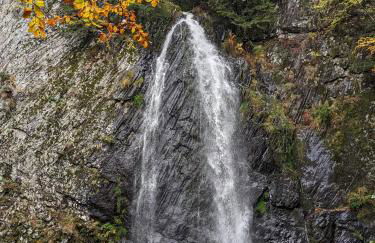 Perce-neige - Foto 21