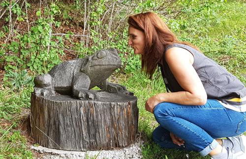 Sonnenhof, Ferienwohnung auf Reitanlage - Foto 45