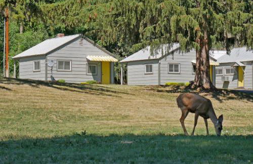 Idle A While Cabins - Foto 61