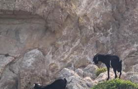 Castell Sol - Arenal Den Castell - Foto 50