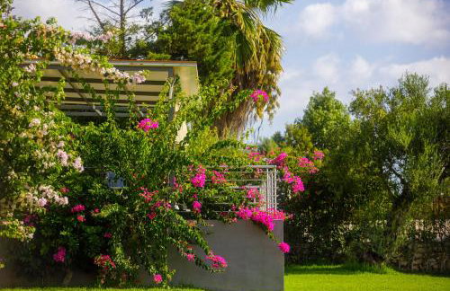 Panorama beach - Foto 48