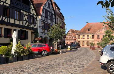 Au pied des vignes - Foto 30