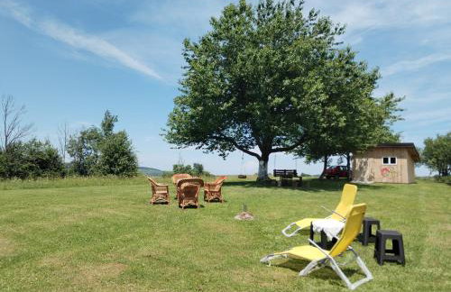 Yellow Rose - Foto 21