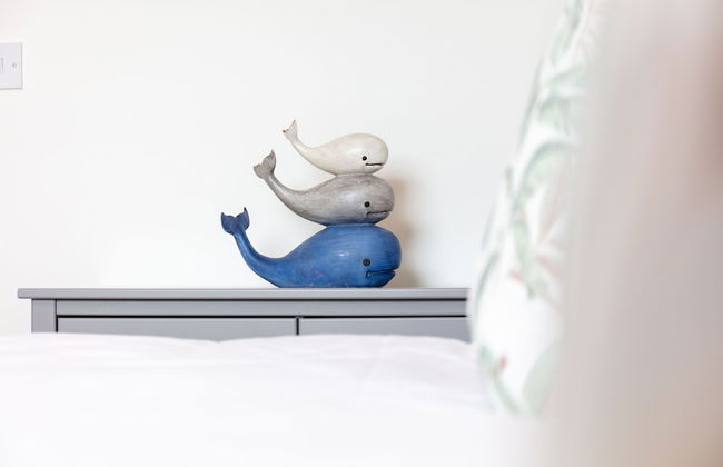 Walker Suite No54 - Donnini Apartments - Foto 7