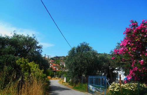 John and Tania's Garden - Photo 47