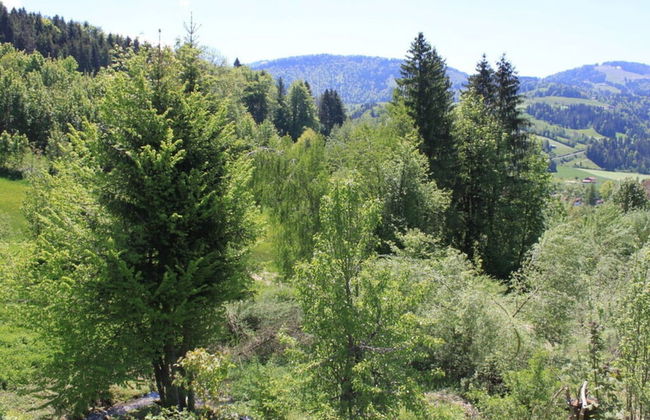 Alpchalet Staufner Quelle - Foto 24