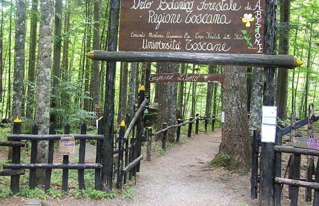 Alpine Getaway in Tuscany - Foto 37