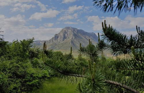 Casa Castel naturaleza y descanso - Foto 11