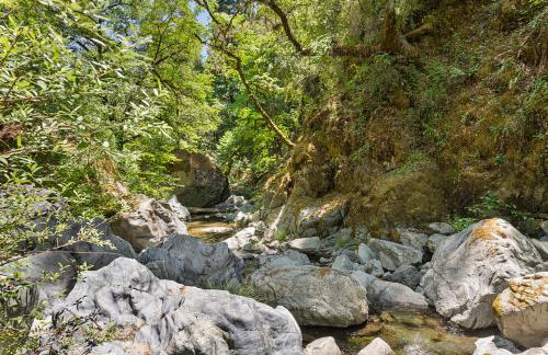 Buck Hollow - Foto 57