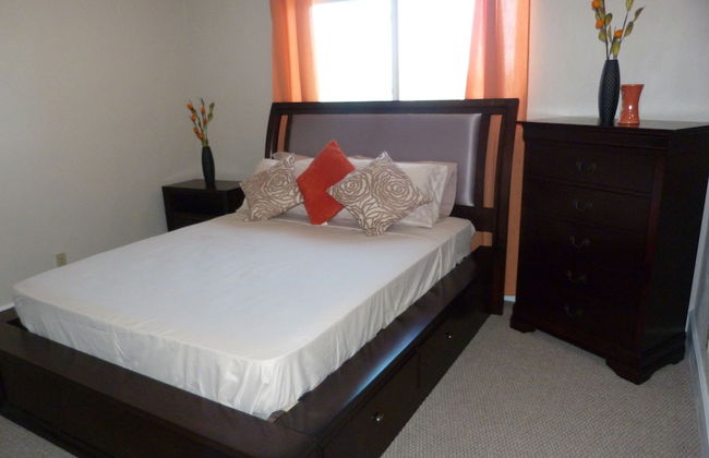 Taste of Paradise - Foto 5