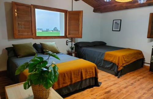 Masia Sisqueta - Photo 12