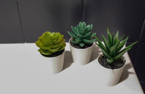 Quinta Soutelinho - Photo 52