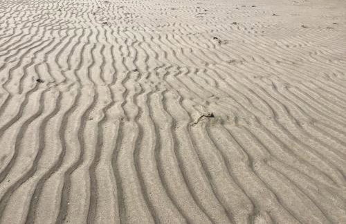 5a Plantation Road - Foto 24