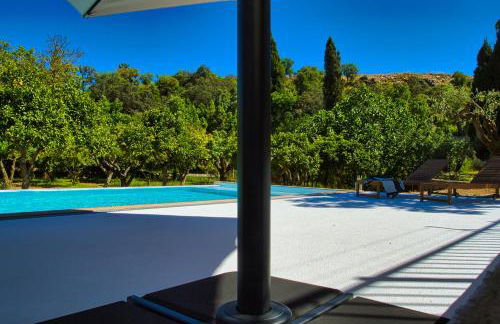 Monte Alecrim - Foto 35