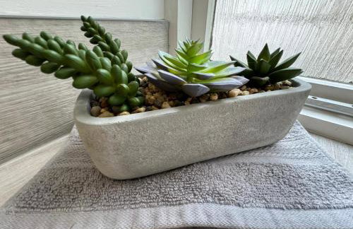 Scotch Terrace - 3 Bedrooms - Sleeps 6 - Foto 12