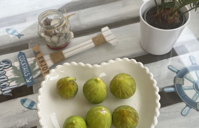 Beachfront House Marlot - Foto 14