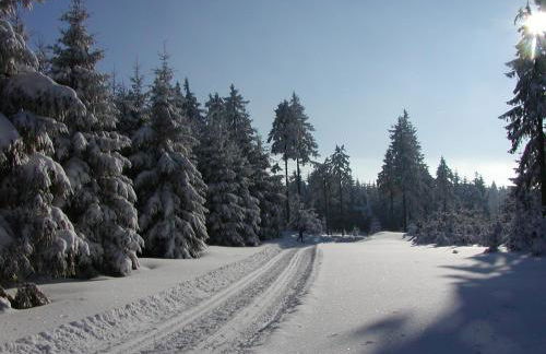 Ferienwohnung Petzold - Foto 19