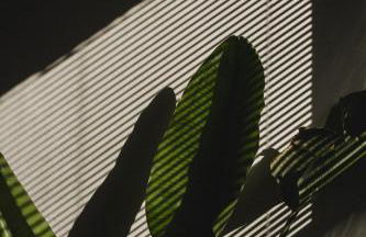 Chris&C Apartments - Foto 34