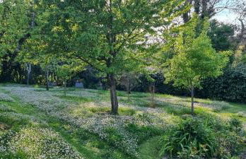 Villa Vignacce - Boutique Country Resort - Photo 50