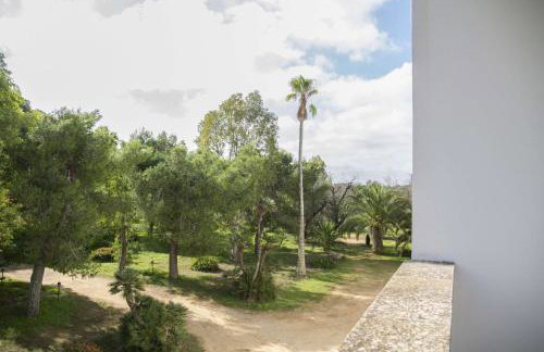 Tenuta Afra - Photo 75