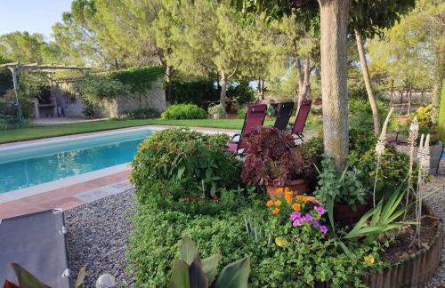 Romegosa Benestar - Foto 53