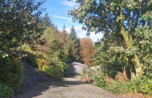 Off Grid Cabin Sleeps 2, Pets Ok, 20 min to Dunoon - Foto 19