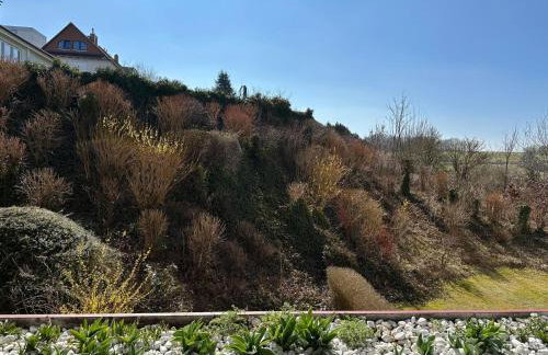 Ferienbutze Harz Drachenperle - Foto 1