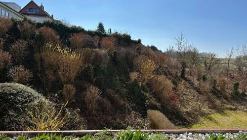 Ferienbutze Harz Drachenperle - Foto 1