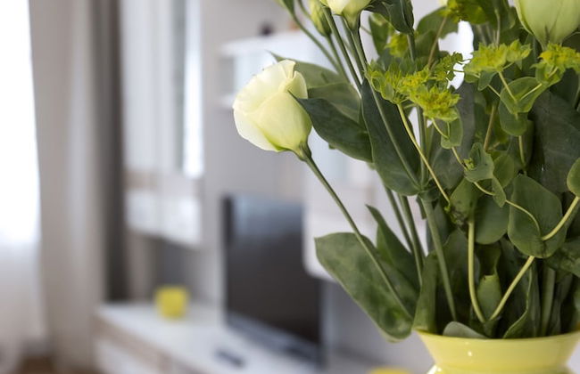 Leon Apartments - Foto 3