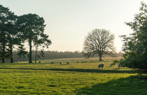 Park Farm House - Georgian Country Retreat - Photo 49