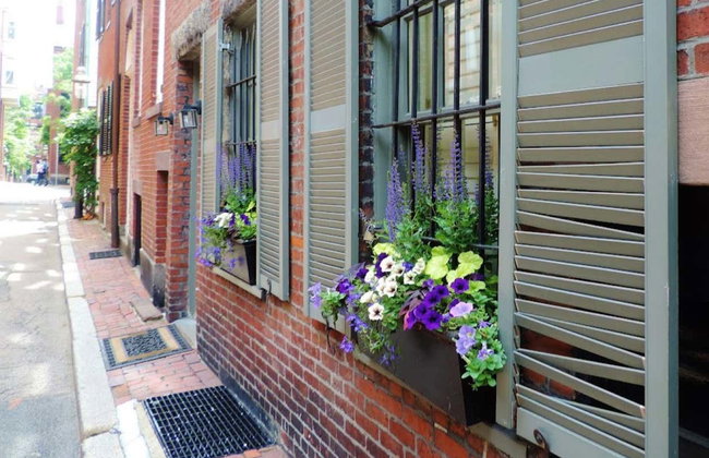 Visita guiada por Boston - Foto 6