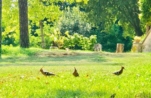 Agriturismo La Montina - Foto 48