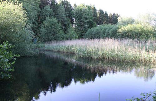 Ferien im Bomlitztal - Foto 40