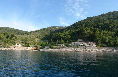 Robinson Merlot - Foto 67