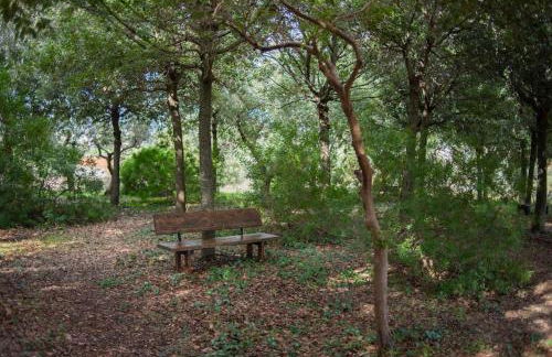 Trulli d'Estia - casa vacanze - Foto 29