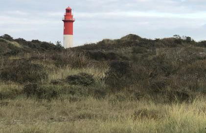 le gîte de Martine en Baie de Somme - Foto 68