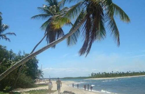 Parque monte alto - Photo 9