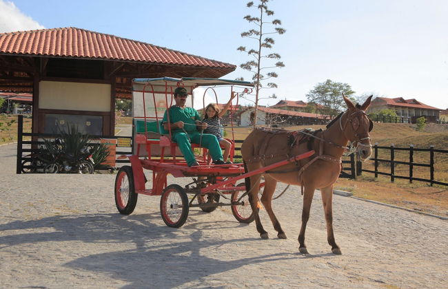 Fazenda Monte Castelo - Foto 20