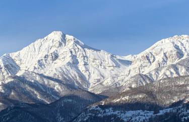 Monica's apartment Mansarda - Stella Alpina - Foto 17